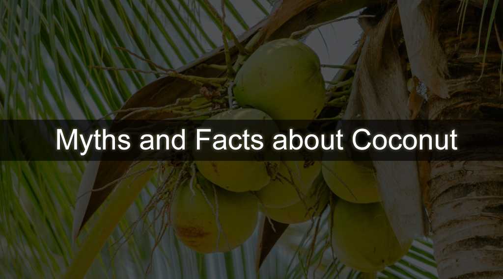 Myths and fact about Coconut