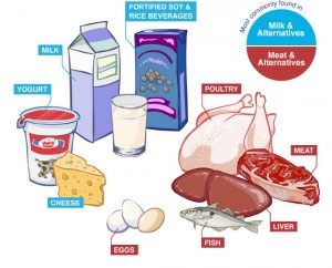 Food vitamin B12